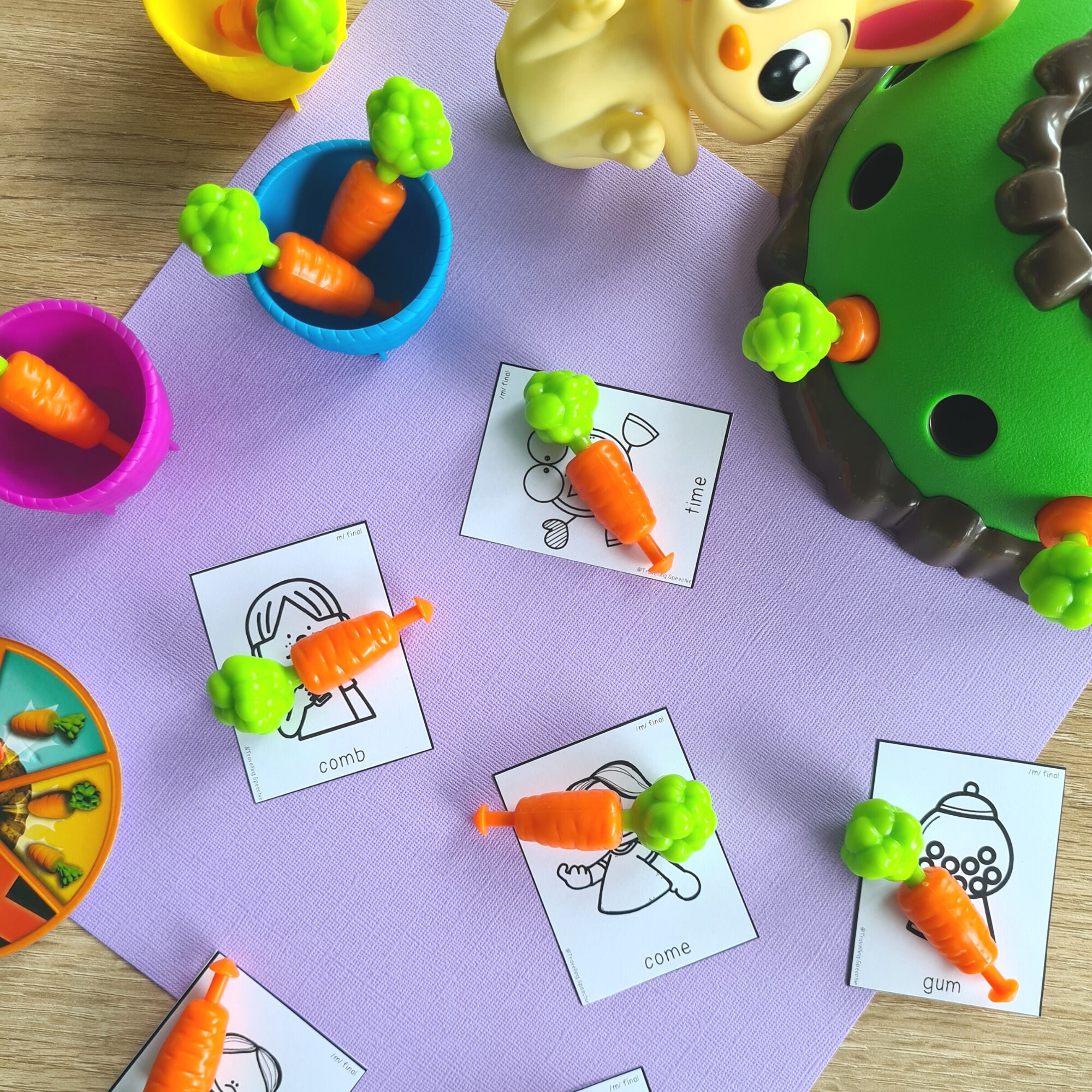 Articulation Flash Cards Speech Therapy Teaching Apraxia - Etsy