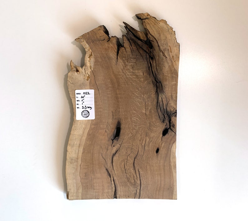 Live Edge Wood Slab Elm Tree Slice Round Reclaimed Unique Etsy
