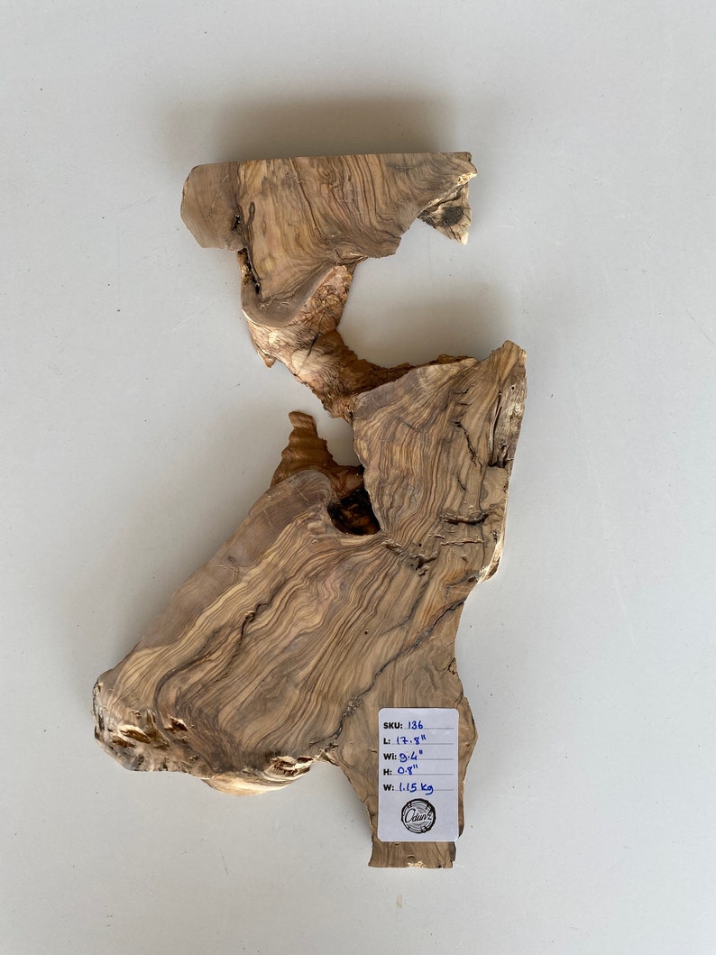 Live Edge Wood Slab Olive Tree Slice Round Reclaimed Unique Etsy
