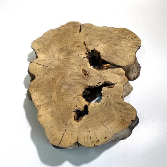 Live Edge Wood Slab Olive Tree Slice Round Reclaimed Unique Etsy