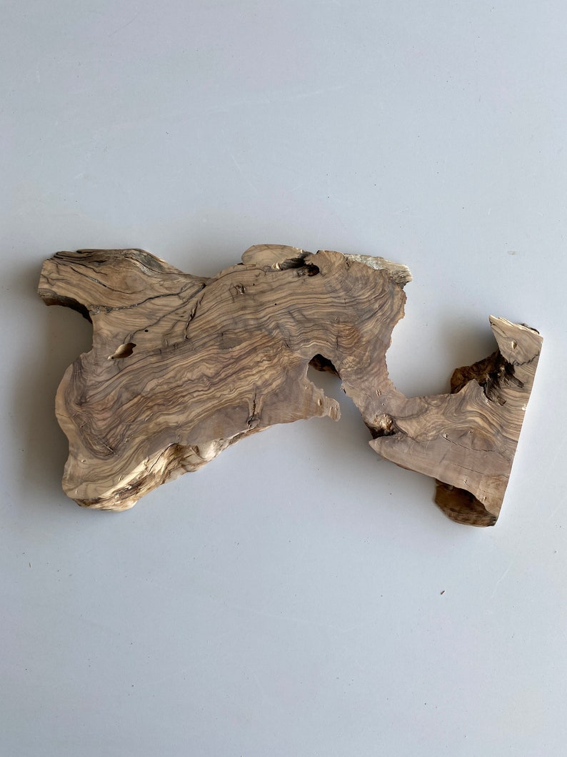 Live Edge Wood Slab Olive Tree Slice Round Reclaimed Unique Etsy