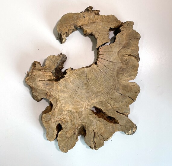 Live Edge Wood Slab Olive Tree Slice Round Reclaimed Unique Etsy