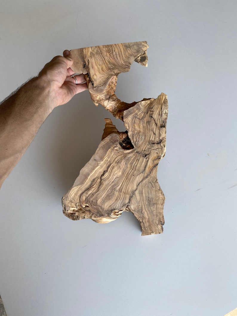 Live Edge Wood Slab Olive Tree Slice Round Reclaimed Unique Etsy
