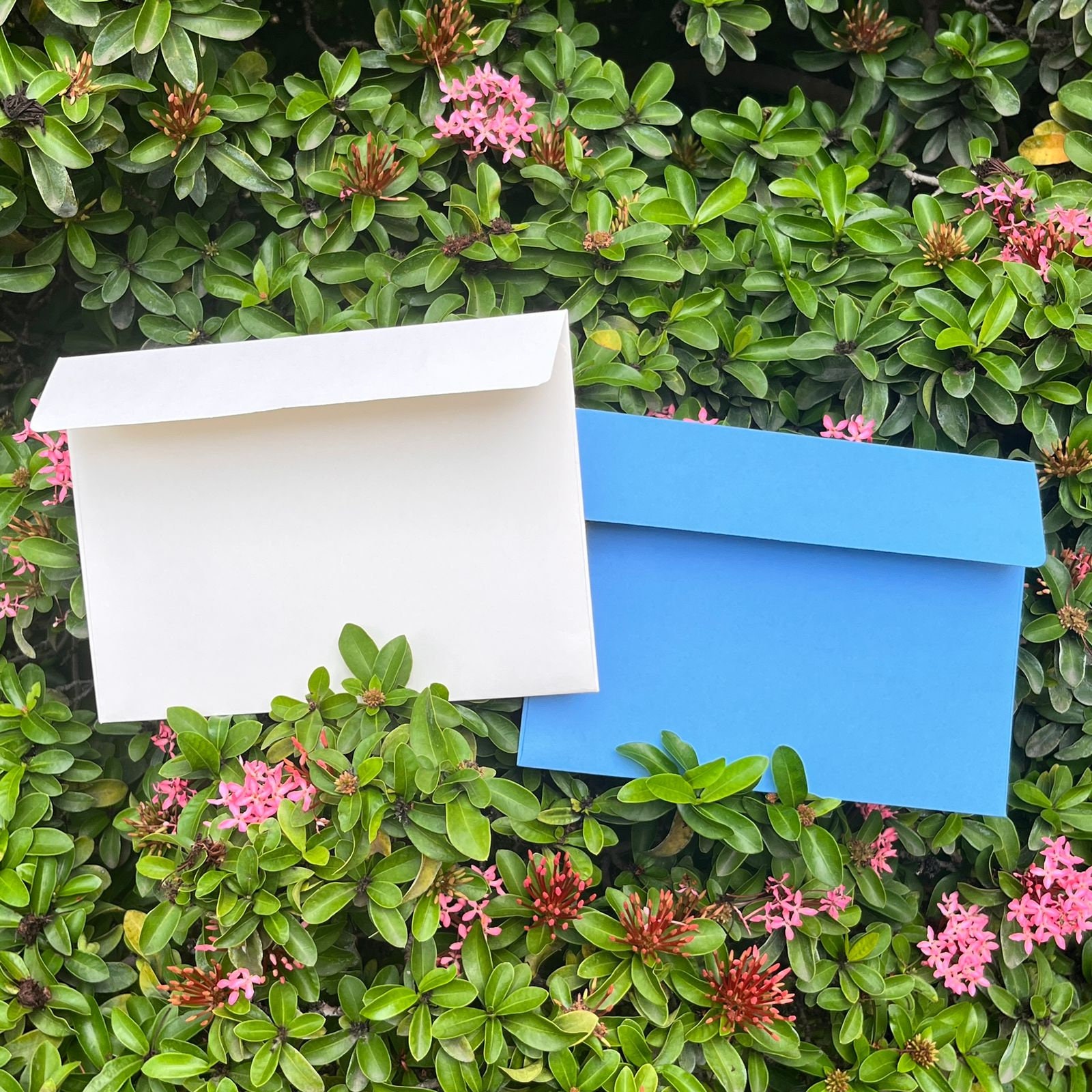 10 White Coin Envelopes, Small Envelopes, Coin Envelopes Set of 10