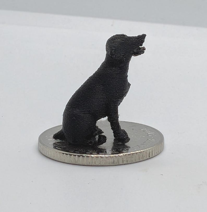 Tiny labrador miniature seated on a 20p coin. Black. White background