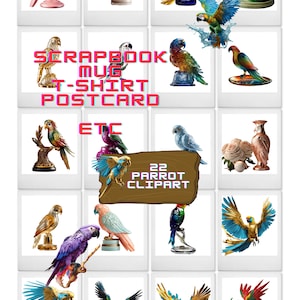 For scrapbook and other projects, parrot clipart bundle, 22 Unique, parrots,png clipart with transparent background,cartoon parrots clipart