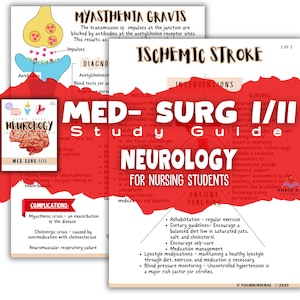 Neurology Nursing Study Guide: Med Surg I/II (Digital Download)