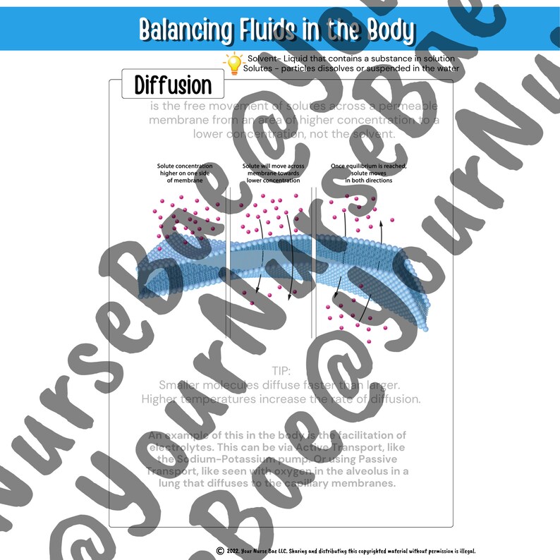 Fluid and Electrolytes Imbalance Bundle Pack Nursing Study Guide