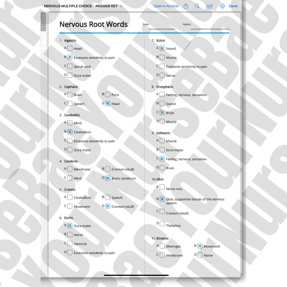 Medical Bundle, Medical Terminology, & Medical Abbreviations for