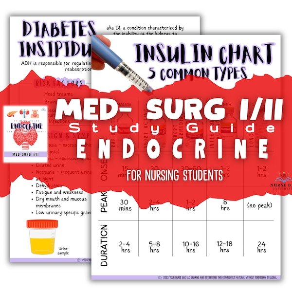 Endocrine Study Guide, Med Surg I/II for Nursing Students, Endocrine System, Nursing Bundle, Nursing Notes, Nursing Med Surg