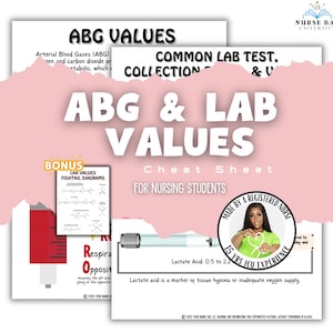 ABG値と検査値 - 看護学習シート