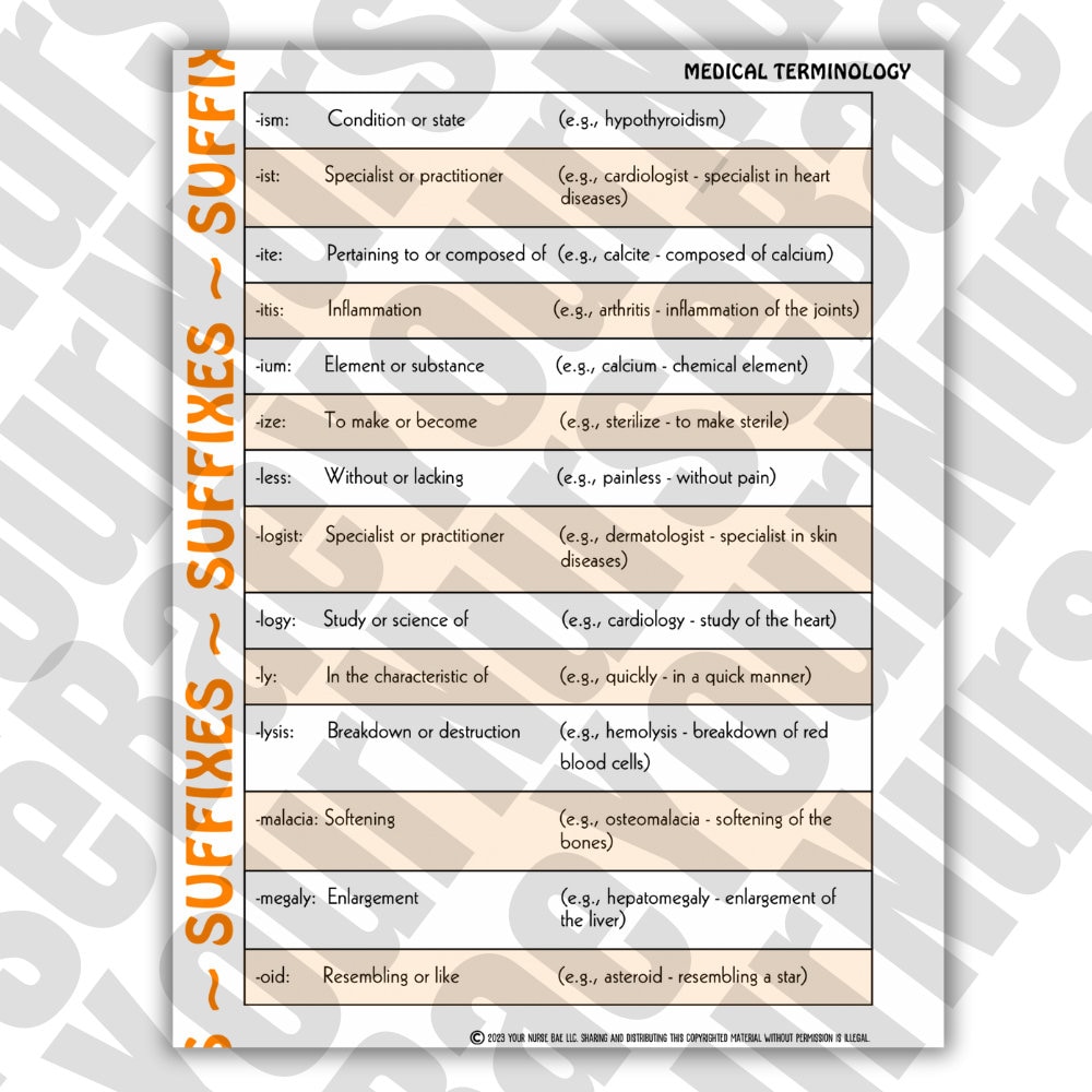 Medical Bundle, Medical Terminology, & Medical Abbreviations for