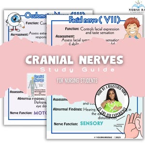 Cranial Nerves Study Guide for Nursing Students