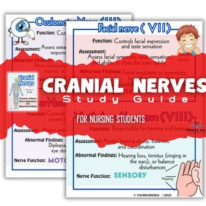 Cranial Nerves Study Guide for Nursing Students