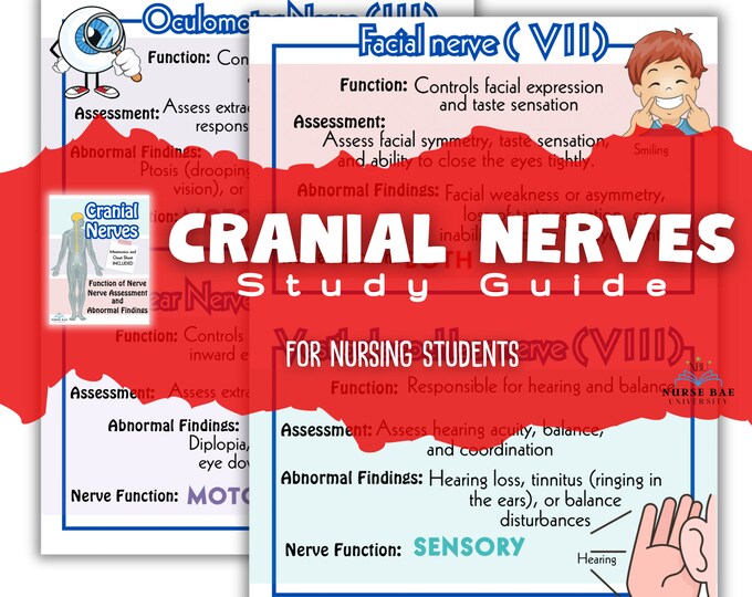 Buy Cranial Nerves & Functions | Nursing Review | Digital Download ...