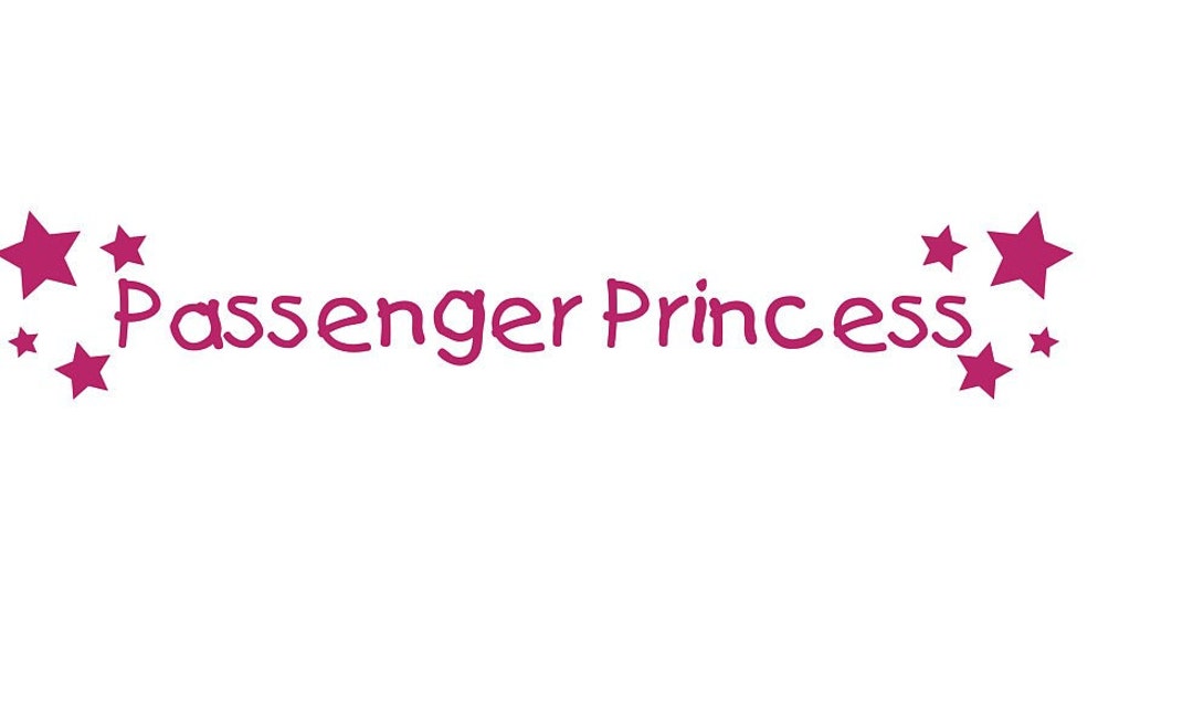 Passenger Princess Svg, Car Decal Svg, Babe Girl Svg, Girl Birthday Svg, Babe Pink Svg, Svg