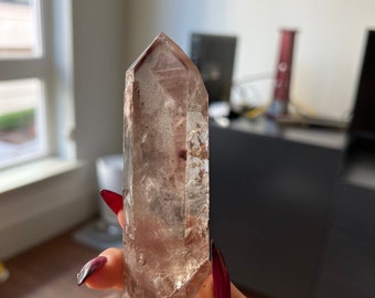 Old Stock Pink Lithium | Custom stand | Destash