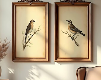 May include: Two framed bird prints with brown wooden frames and ornate top details. Each print features a detailed illustration of a bird perched on a branch against a cream-colored background. The prints hang above a classic armchair in a room with hardwood floors.