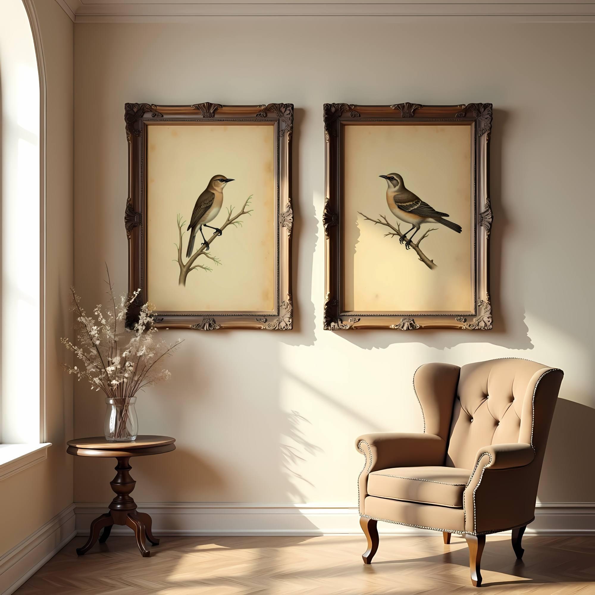 Vintage Bird Print Set: Antique Ornithology Wall Art (digital Download ...