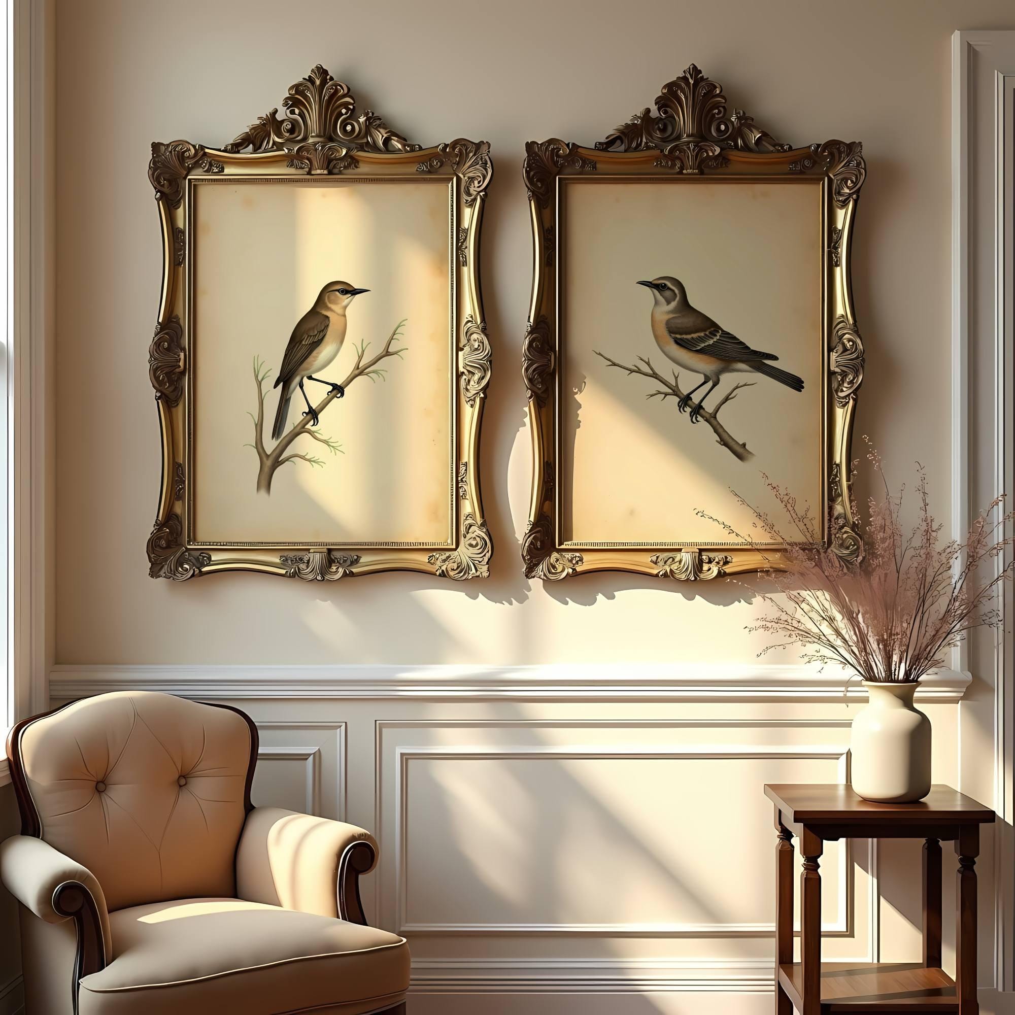 Vintage Bird Print Set: Antique Ornithology Wall Art (digital Download ...