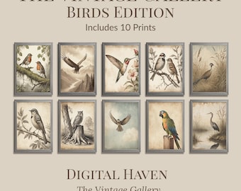 May include: A collection of ten framed vintage-style bird prints. The prints feature various bird species in natural settings, with a muted color palette. The text "THE VINTAGE GALLERY BIRDS EDITION" and "DIGITAL HAVEN" are displayed.