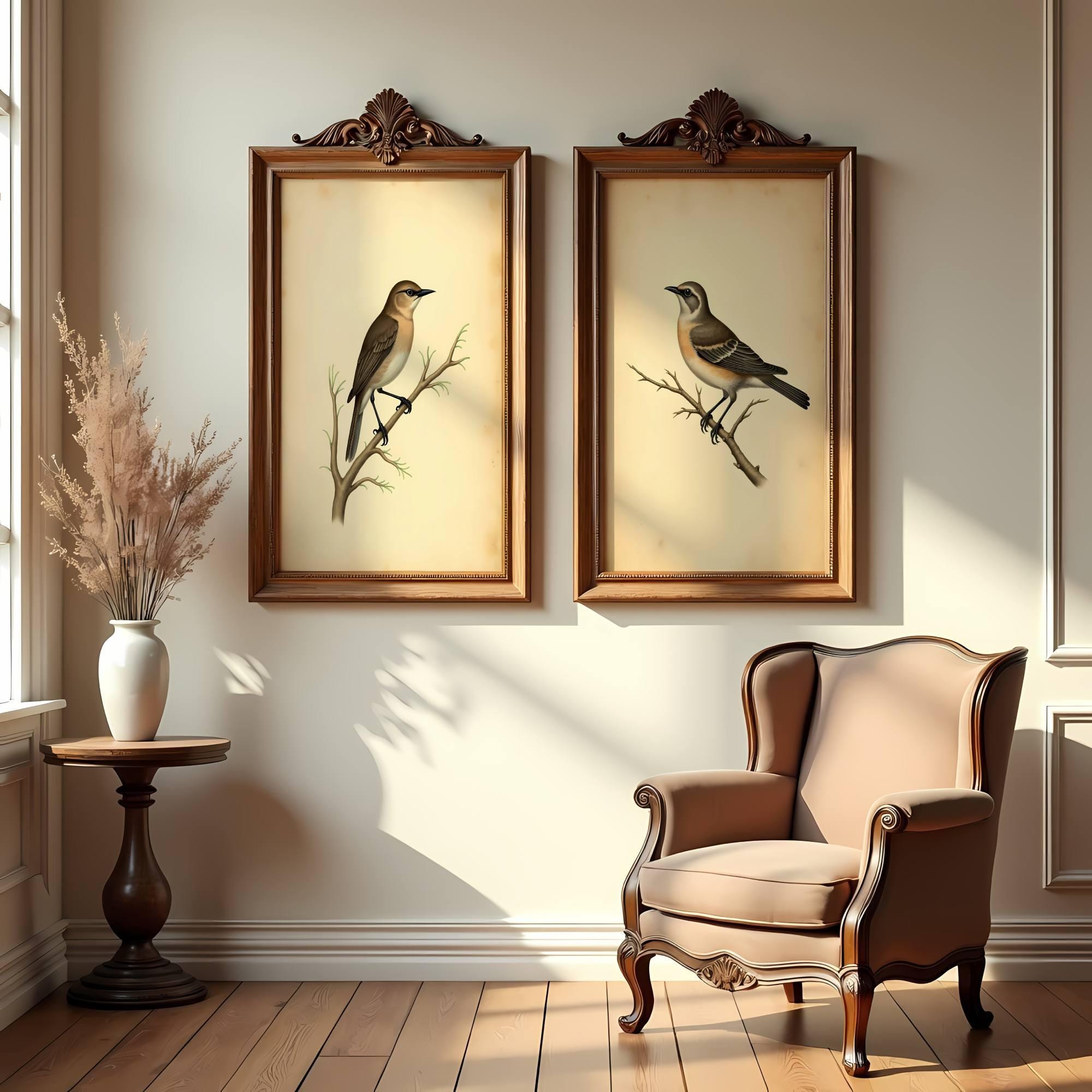 Vintage Bird Print Set: Antique Ornithology Wall Art (digital Download ...