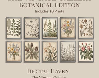 Lot de 10 imprimés botaniques vintage, art mural floral ancien (téléchargement numérique)
