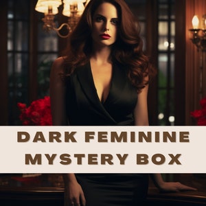 Dark Feminine Energy Mystery Box Styling Thrift Bundle