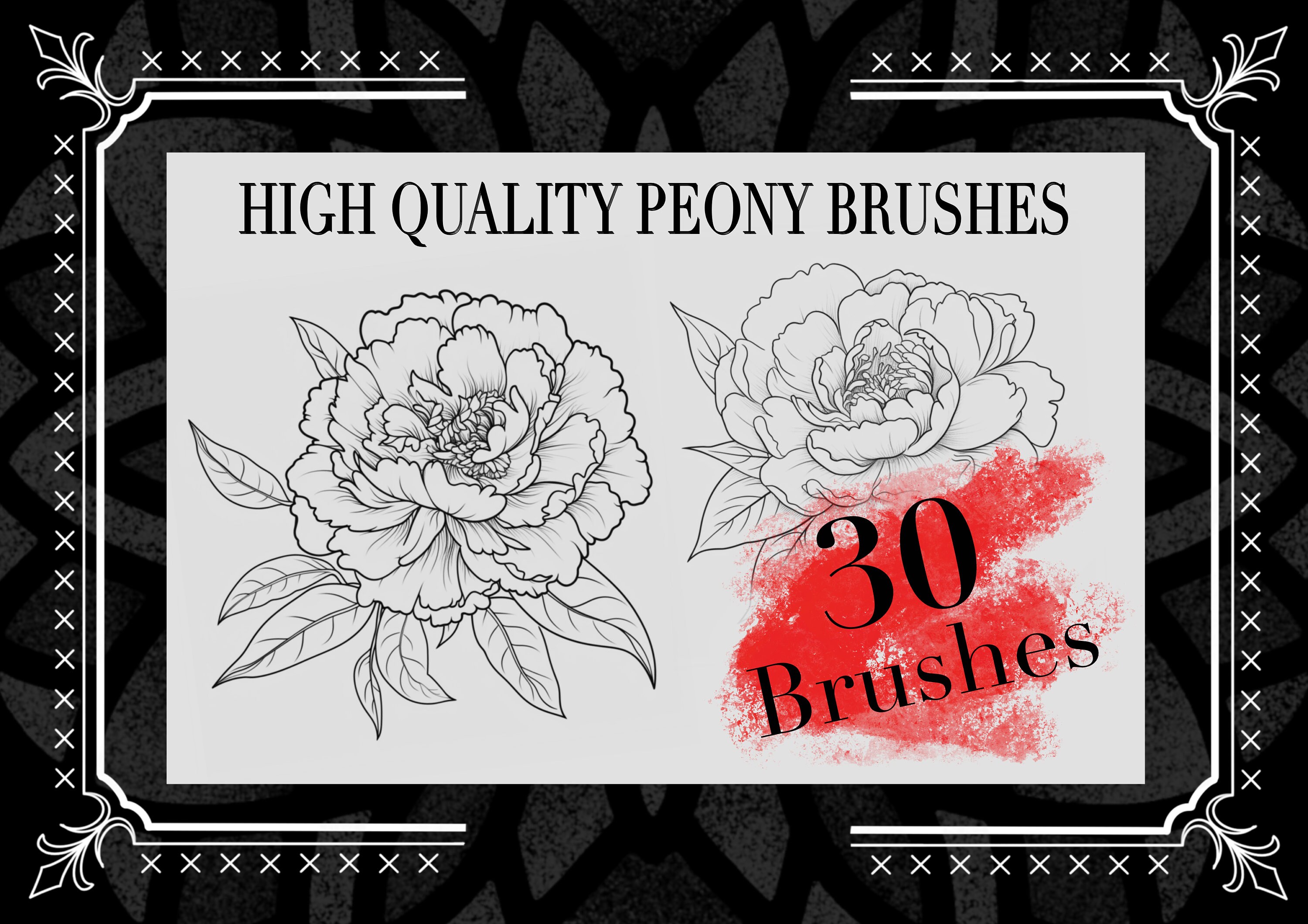 30 Stamps! 30 Peony Brushes for Procreate! Floral Flowers Peony - Etsy