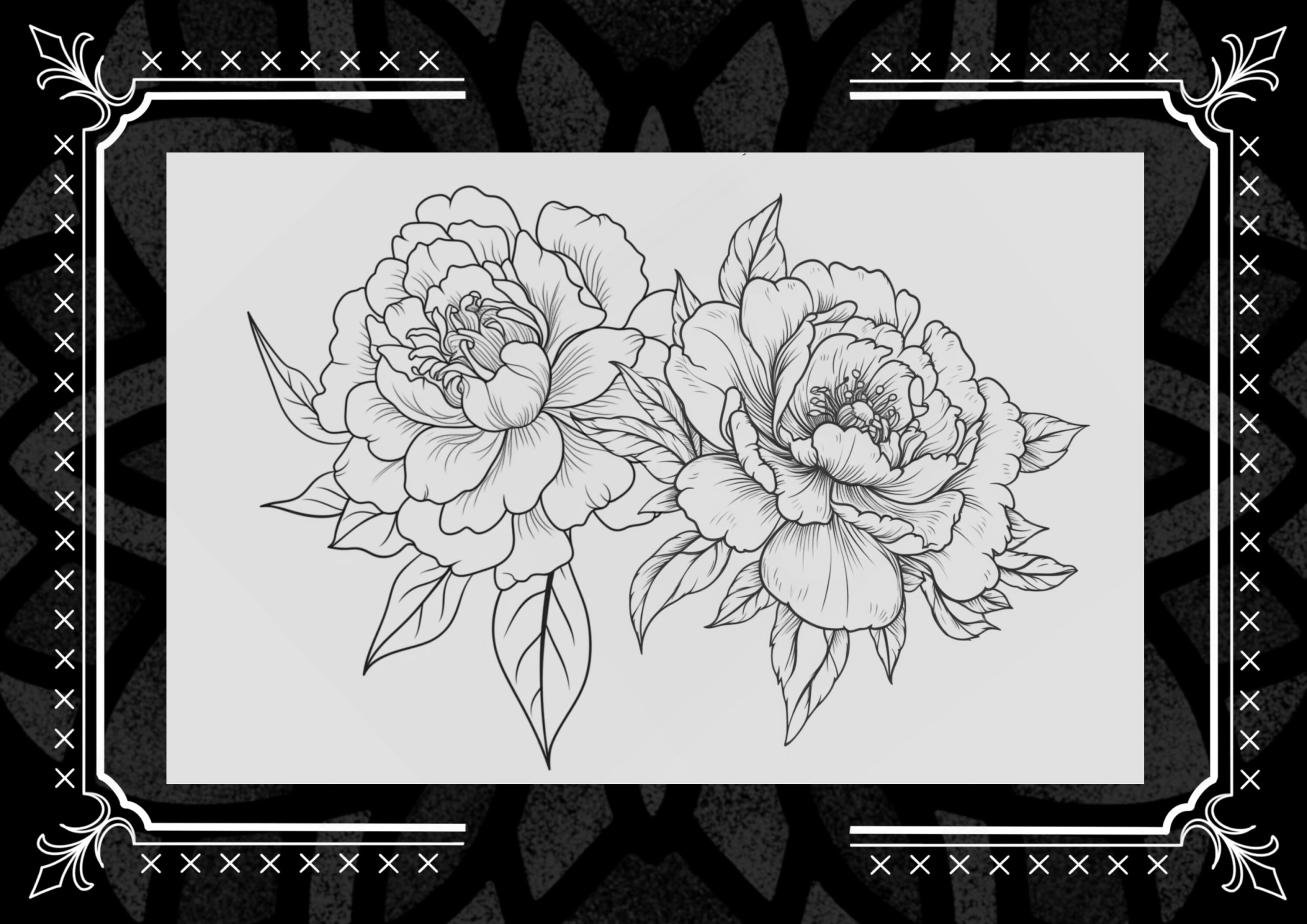 30 Stamps! 30 Peony Brushes for Procreate! Floral Flowers Peony - Etsy