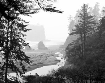 May include: Black and white landscape photograph of a coastal scene. A river flows into the ocean, with trees and rock formations on either side. The sky is overcast, creating a moody atmosphere.