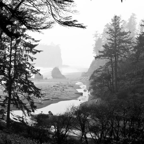Fog at Rialto Beach -- Fine Art black and white photo... available as a print OR professionally framed.