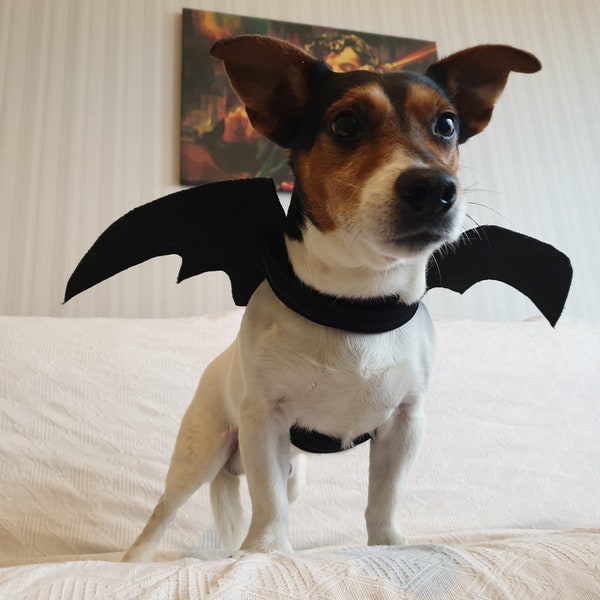 Pet Clothing,Cat Costume,Bat Wings Costume Dog,Devil Wings Costume Dog,Halloween Dog Costume,Dog Halloween,Wings For Dogs,Hundekostüm