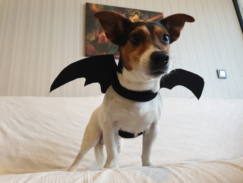 etsy.com | Bat Wings Costume