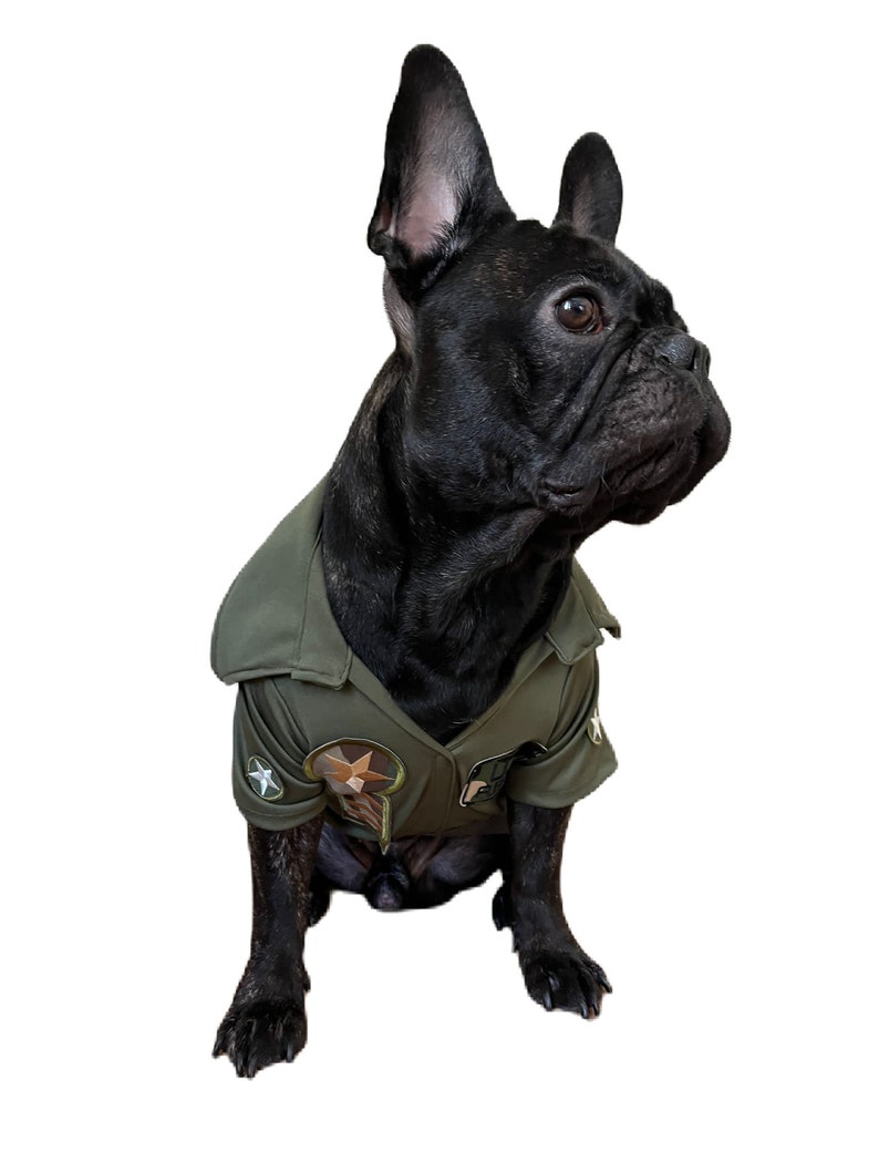 Top Gun Dog,us Army Dog Costume,dog Pilot Costume,military Dog Costume