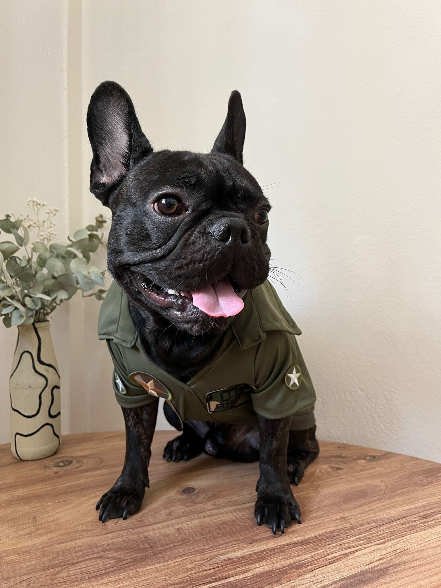Top Gun Dog,us Army Dog Costume,dog Pilot Costume,military Dog Costume,halloween Dog Costume,dog