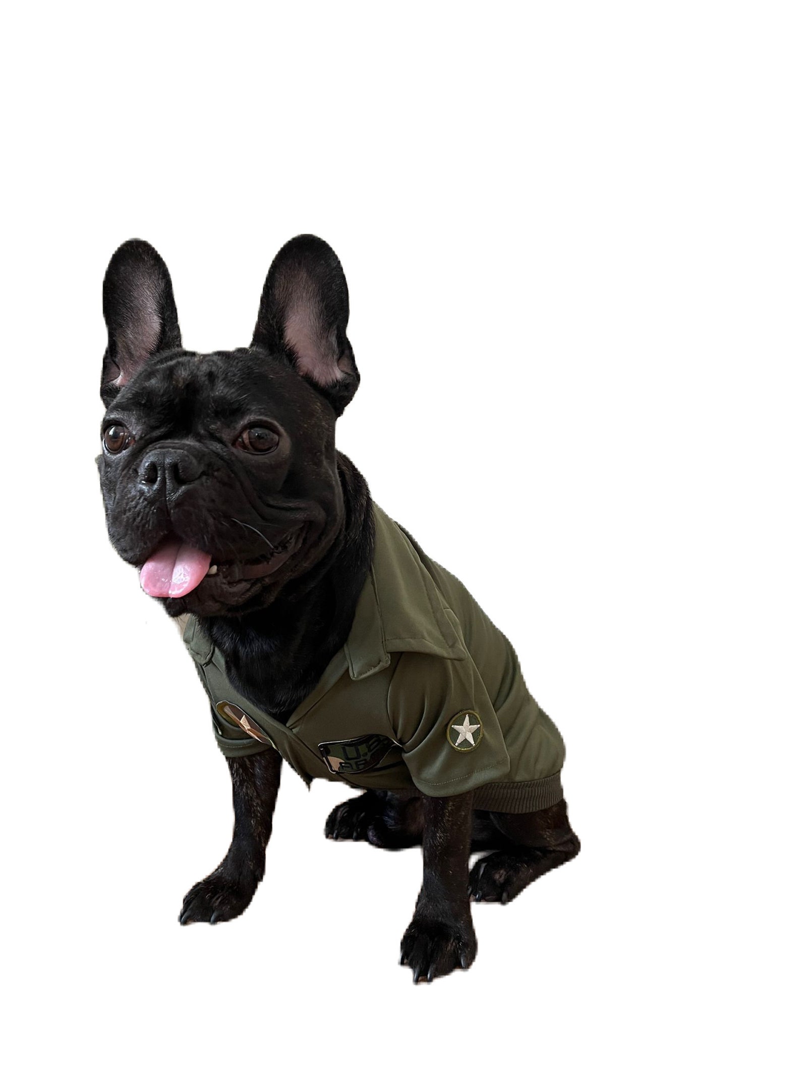 Top Gun Dog,us Army Dog Costume,dog Pilot Costume,military Dog Costume