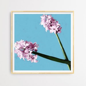 Giclée-Kunstdrucke – Blumen-Kunstdrucke – wunderschöne botanische Kunstdrucke – Hyazinthen-Kunstdrucke