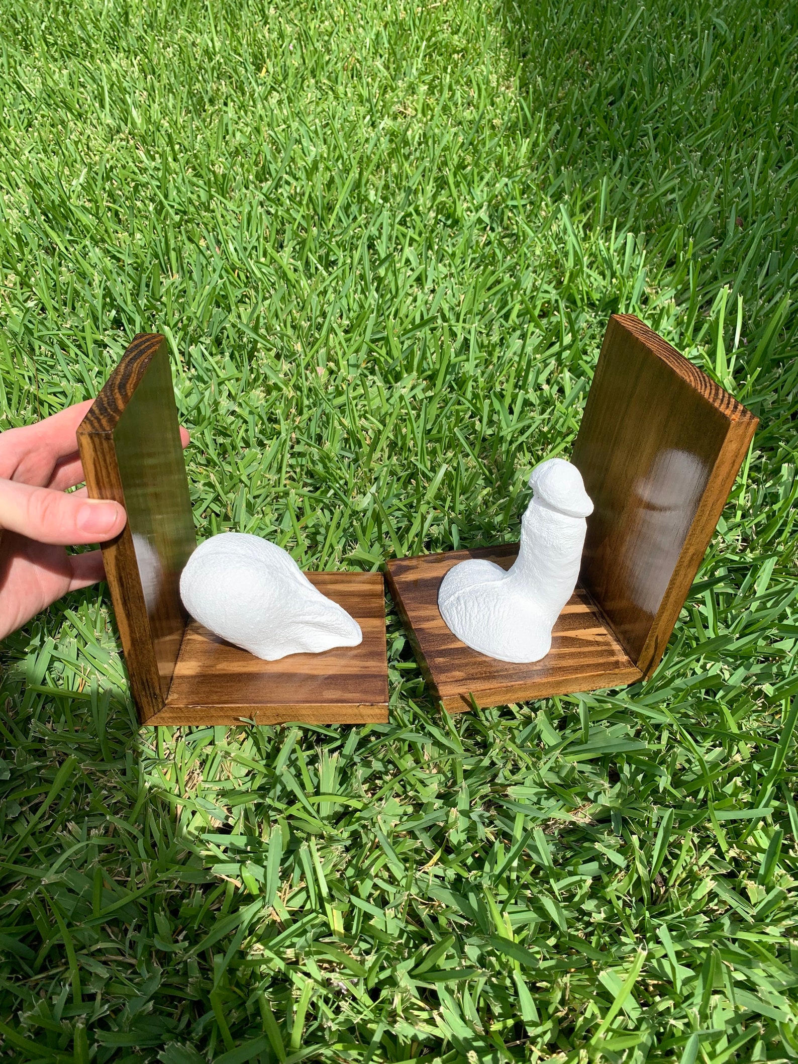 Penis & Scrotum Plaster Cast Floating Shelf Bookend/ Flaccid/ Testicles