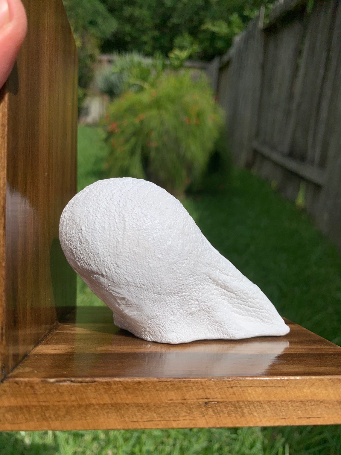 Penis & Scrotum Plaster Cast Floating Shelf Bookend/ Flaccid/ Testicles