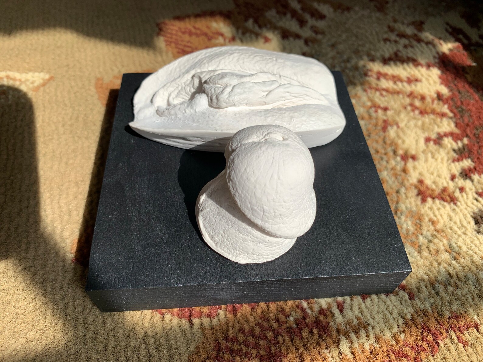 Vagina & Penis Plaster Cast/ Body Art/ Body Cast Lifecast/ Etsy