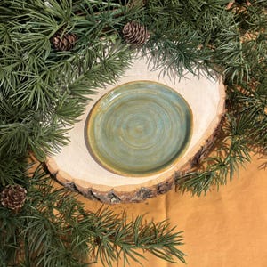 Jade Green Iron Brown Spoon Rest Handmade Pottery