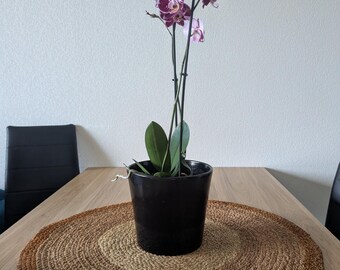 Decorative woven raffia centerpiece, woven raffia boho decor centerpiece, boho decoration natural gift idea, interior decor