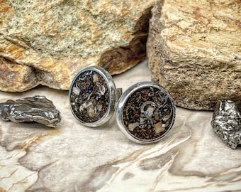 Meteorit Dinosaurier Knochen Ohrringe authentische Fossilien Inlay Ohrstecker, einzigartige Naturgeschichte Schmuck Geschenk