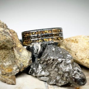 Dinosaur Bone & Meteorite Ring – Men’s Fossil Wedding Band Made from T. Rex, Triceratops, Petrified Wood, Handmade Unique Jewelry Gift