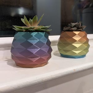 Geometric Planter: 3D Printed Succulent & Cactus Pot