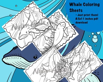 Printable Coloring Pages - Whales 4x (Orca, Begula, Narwhal, Humpback) - Just download and print!