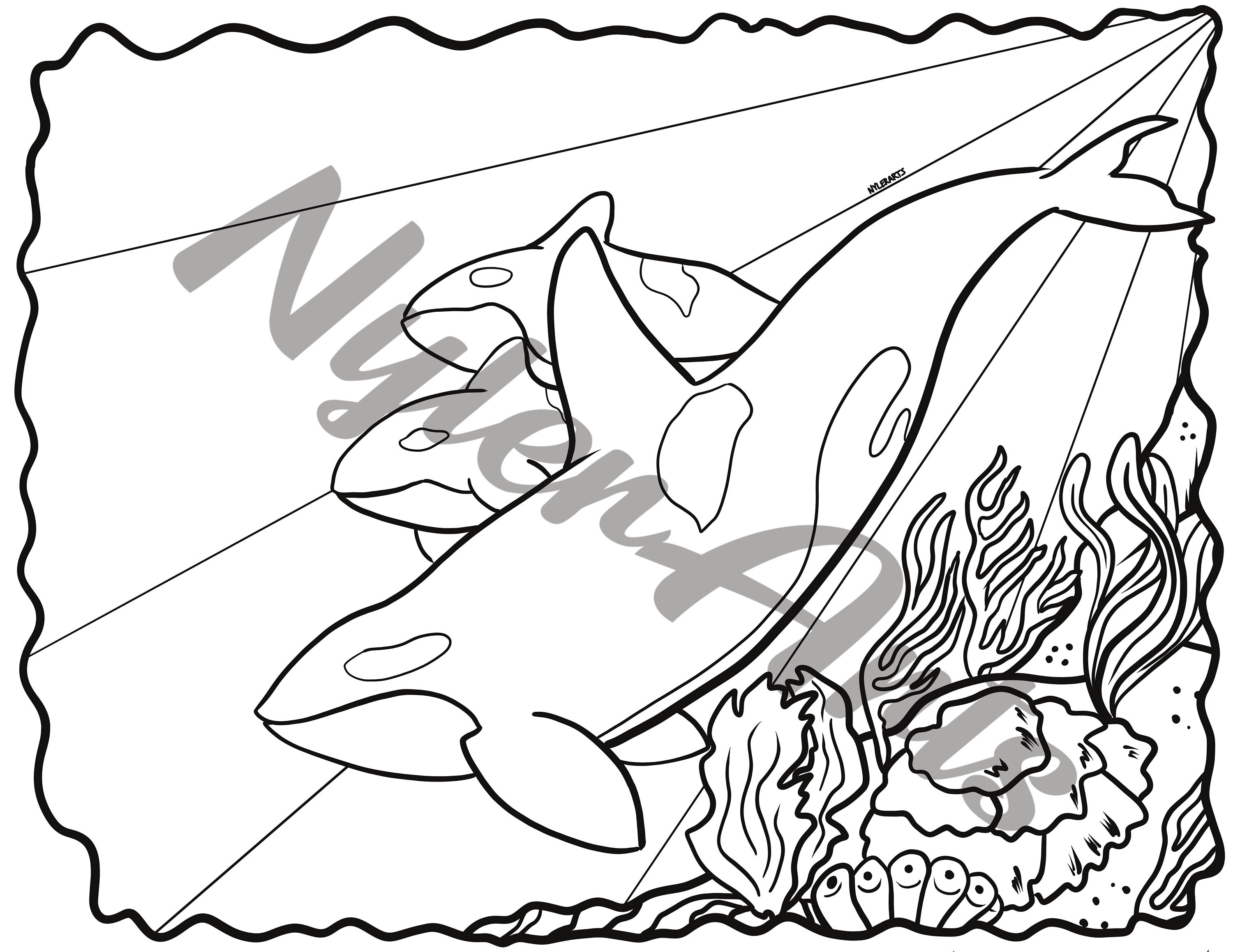 Orca Whale Coloring (colouring) Sheet (page) - Just Download and Print ...