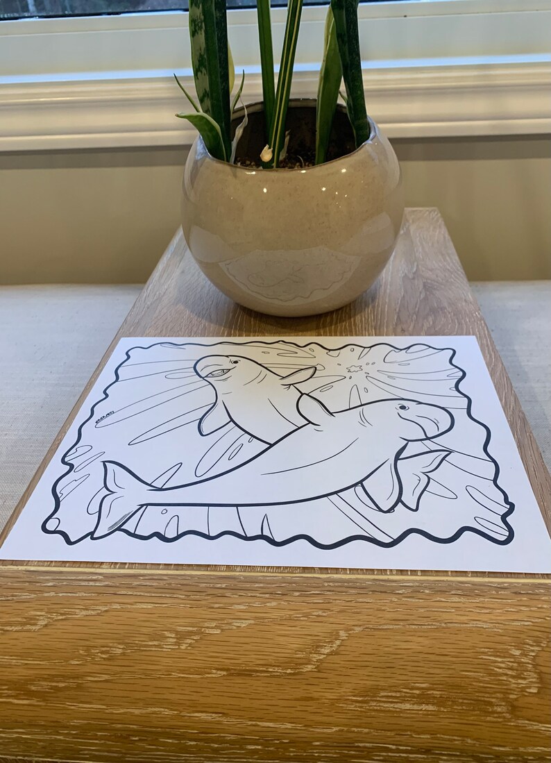 Beluga Whale Coloring (colouring) Sheet (page) Just Download and