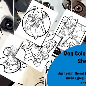 Printable Dog Coloring Pages 4 Pack - Just download and print!